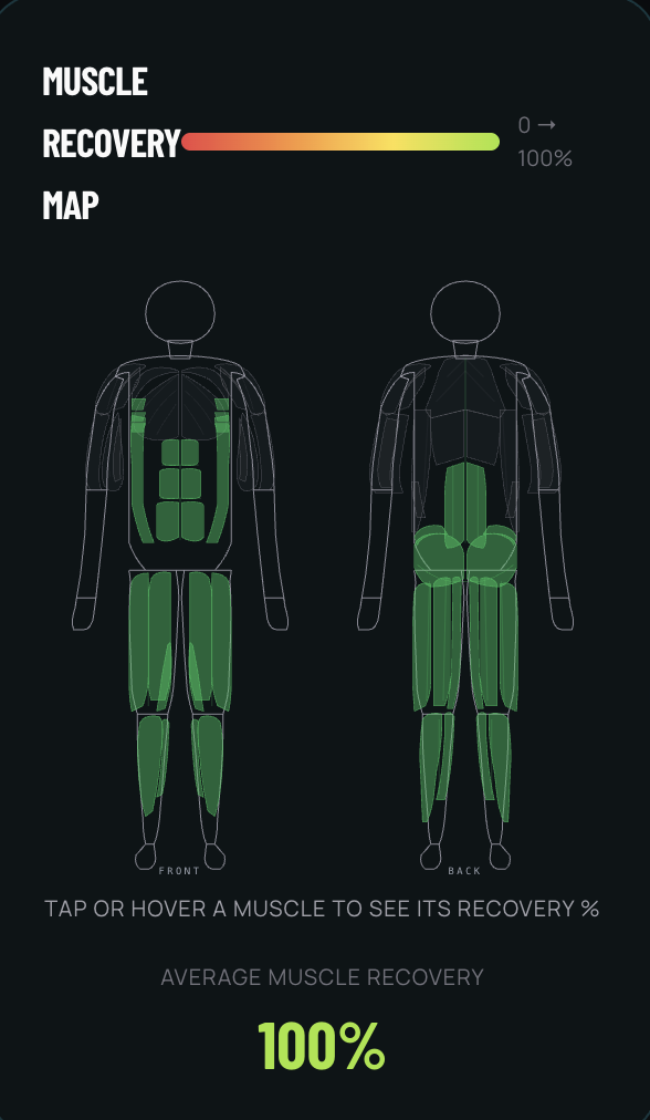 Muscle recovery map showing front and back body with recovery levels